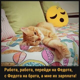 Работа перейди на федота зарплата
