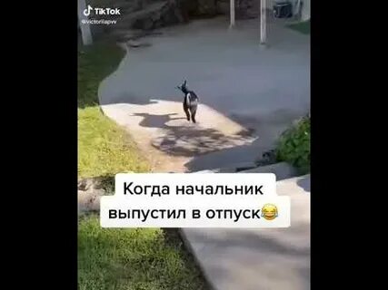 Начальник выпусти