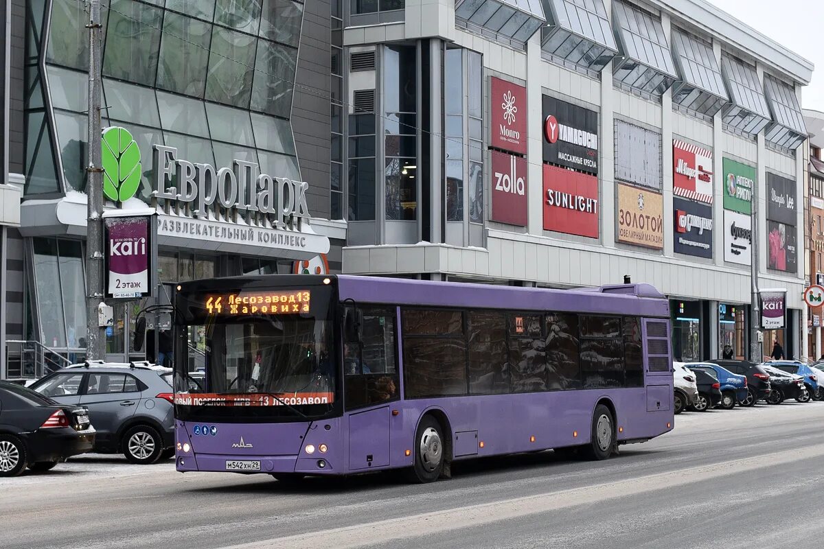 Транспорт архангельск автобус. МАЗ 203 Архангельск. Архангельский автобус. Автобусы Архангельск. Общественный транспорт Архангельска.