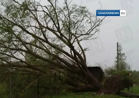 На связи ураган