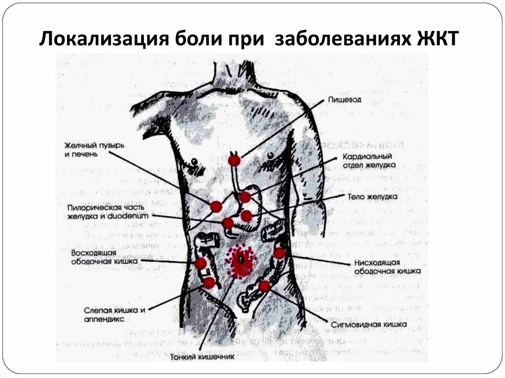 Точки жкт