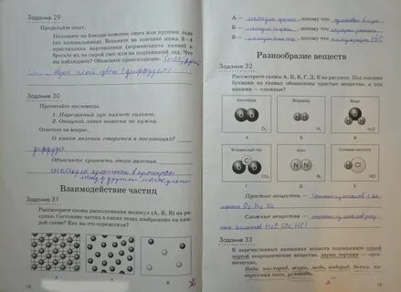 Практическая работа по естествознанию