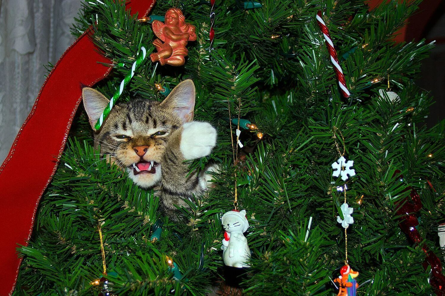 Елкий. Кот и елка. Кот опрокинул новогоднюю елку. Кот перевернул елку. Кот и елка смешные.