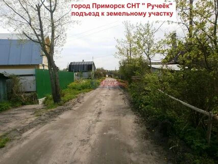 Объявления приморск