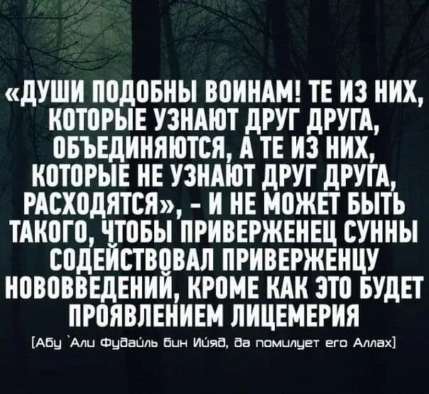 Душа пояснение. Души подобны воинам ищут себе подобных хадис. Души подобны воинам хадис. Души подобны внймам. Хадисы про душу.