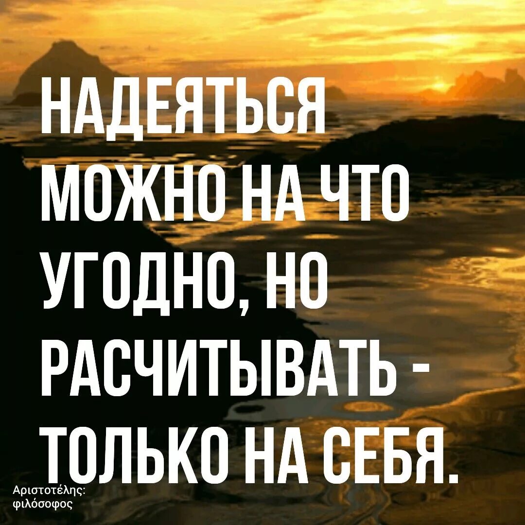 Волк умные цитаты. Можно надеяться на то. Зимние статусы красивые. Женщина молится на коленях. Можно надеяться на то.