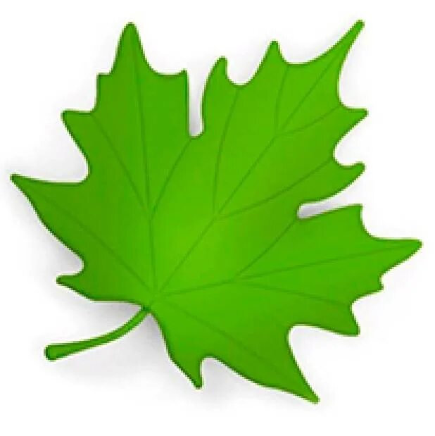 цветной лист. детсады листы. цветной лист. кленовый лист желтый. осенние листья для вырезания.