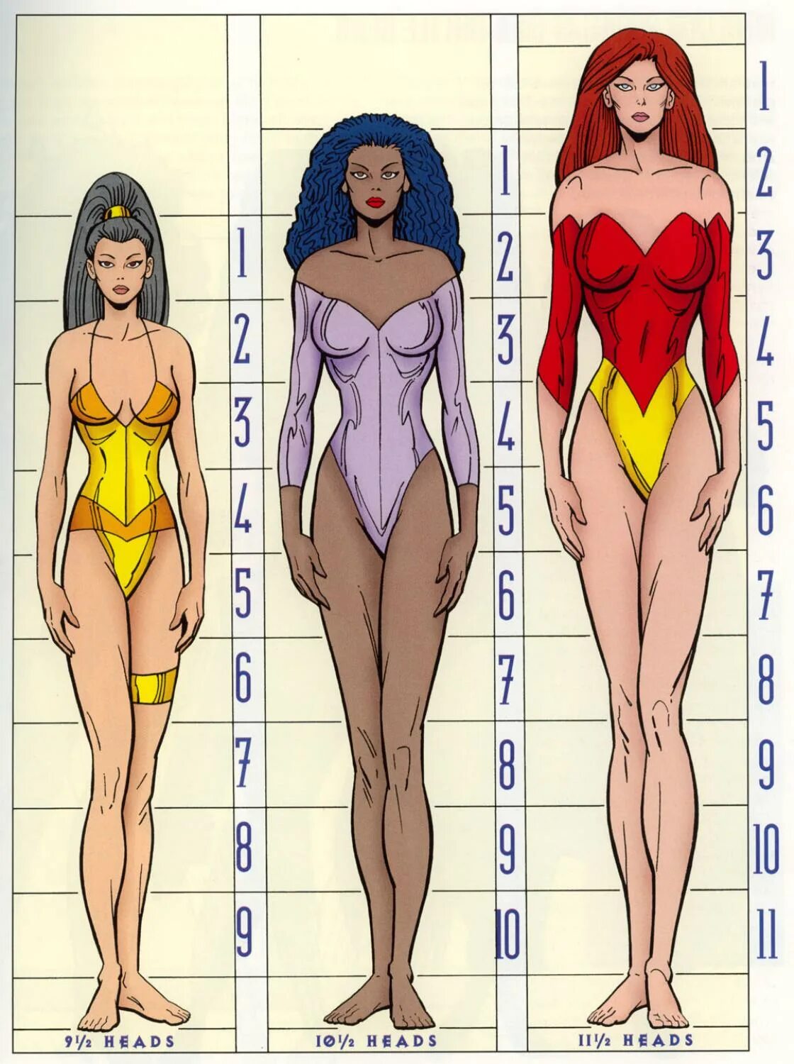 Как выглядит сиповка. Идеальные пропорции женского тела. Идеальные пропорции девушки. Пропорции женской фигуры. Идеальные женские пропорции.