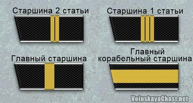 Звания рек. Погоны главный Корабельный старшина ВМФ. Погоны старшего матроса ВМФ. Главный Корабельный старшина ВМФ. Главный Корабельный старшина звание.