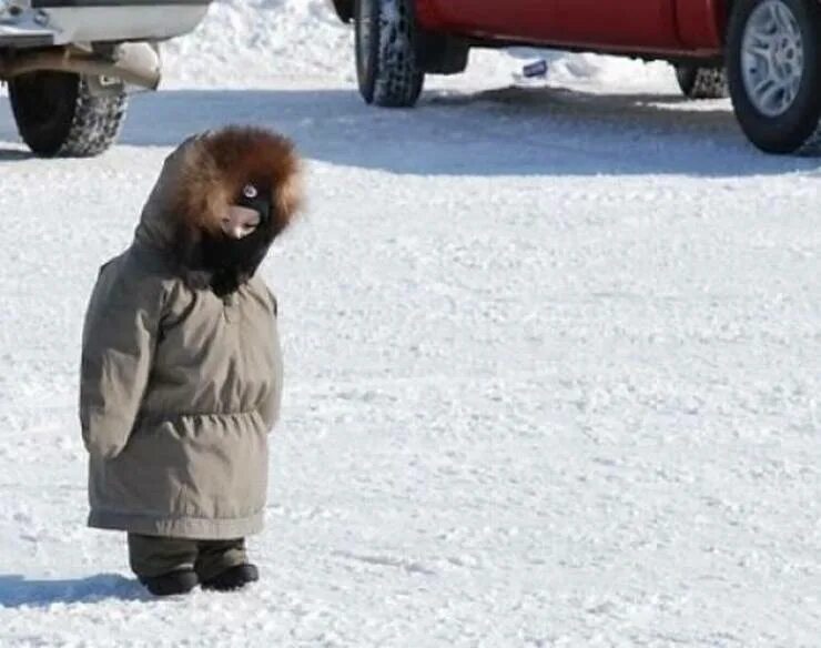 укутанный ребенок зимой. закутанный ребенок зимой. тепло одетый малыш. ребёнок в шубе и валенках. укутаться шарфом.