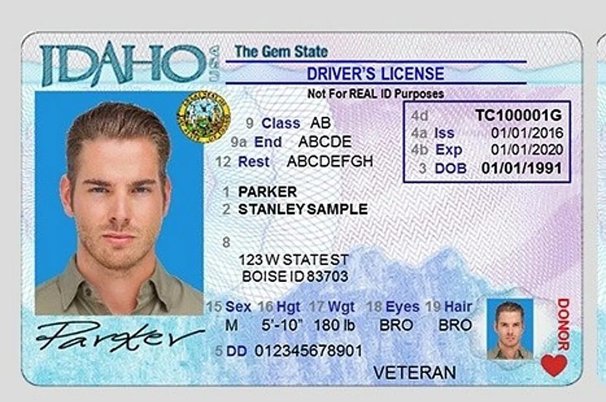 Ids license. Driver License. Driver License of American Stars. Germany Driver License. Ronaldo Driver License.