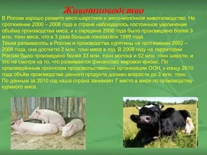 Какой тип животноводства наиболее развит в тундре