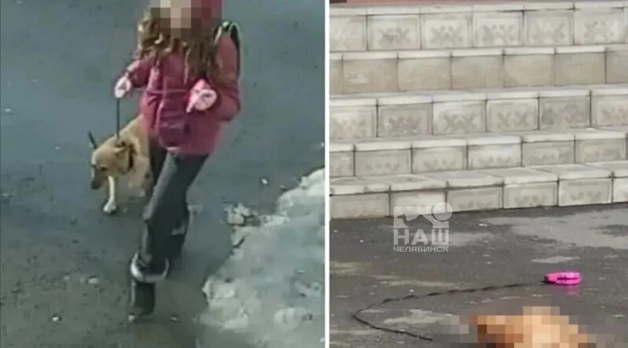 Девочка выбросила собаку с 20 этажа. Летние моменты. Собака убитой девочки. Девочка на улице. Собачьи площадки в питере.