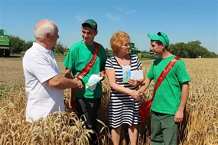 Рассвет усть лабинск. Агрообъединение Кубань Усть-Лабинск. Агропромышленный комплекс Усть Лабинского района. Агрохолдинг Кубань Усть-Лабинск. Усть-Лабинский район уборка пшеницы.