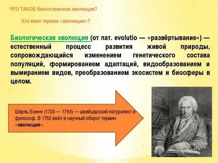 Этапы развития это определение