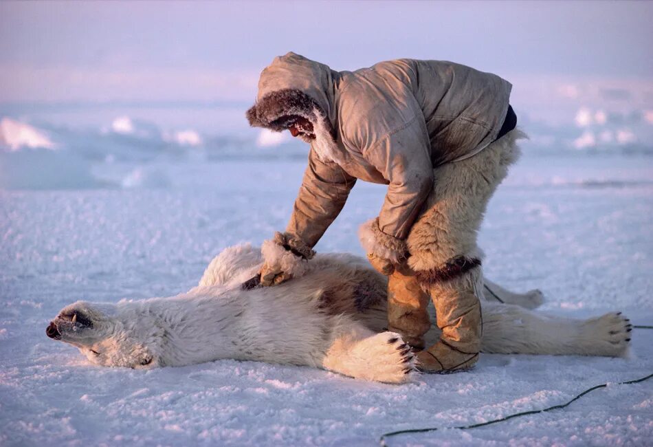 Как чукчи называют медведей. Ножи народов крайнего севера. Как чукчи называют медведей. Как чукчи называют медведей. Аляска эскимосы.