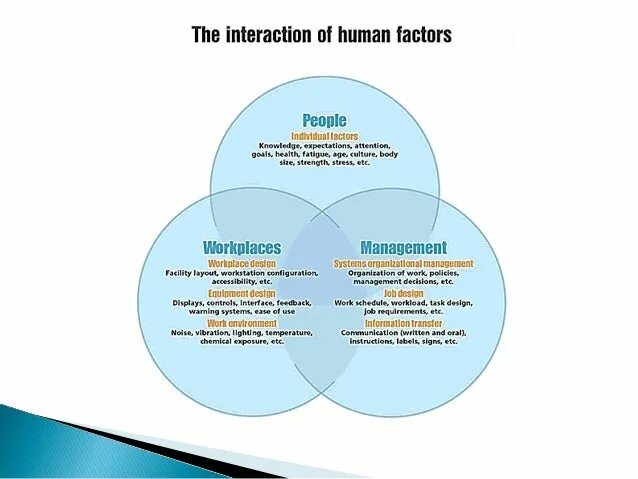 Factor engineering. The human factor. модель shell человеческий фактор. human factor in aviation. shell model human factor.