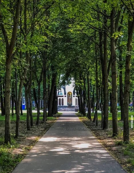 Парка рязань купить. Соборный парк Рязань. Лесопарк Рязань. ЦПКИО Рязань. Соборный парк Рязань липы.