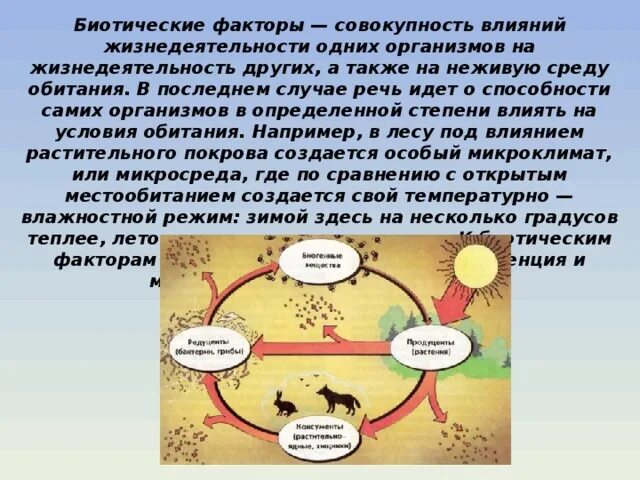 Параметры жизнедеятельности. Процессы жизнедеятельности живых организмов. Гигиена и экология человека презентация. Биотические факторы влияющие на жизнедеятельность. Влияние на жизнедеятельность организмов.