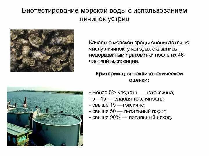 Протокол биотестирования отходов 5