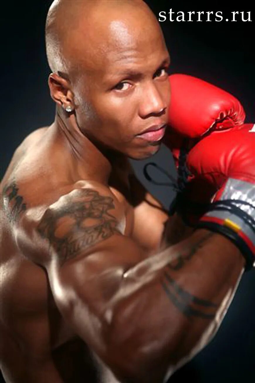 Judah prehn. Заб джуда с поясами. Заб джуда боксер. Заб джуда. Заб джуда.