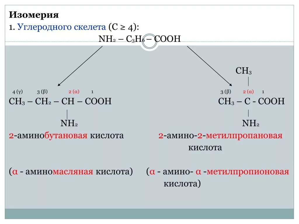 Структурная изомерия углеродного скелета. Структурная изомерия углеродного скелета