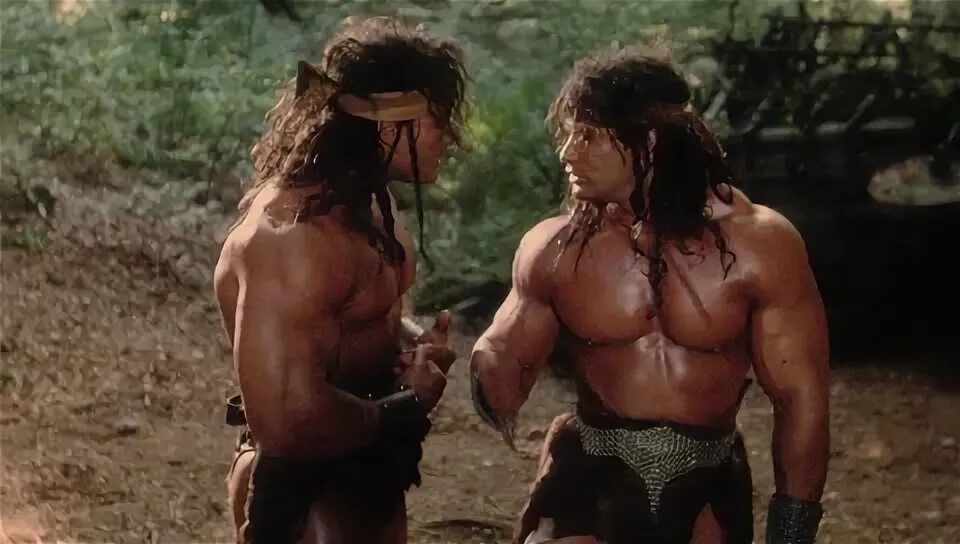 Time barbarians, 1991. Королева варваров / barbarian queen. Конан варвар момоа. Братья варвары 1987. Видео про варваров.