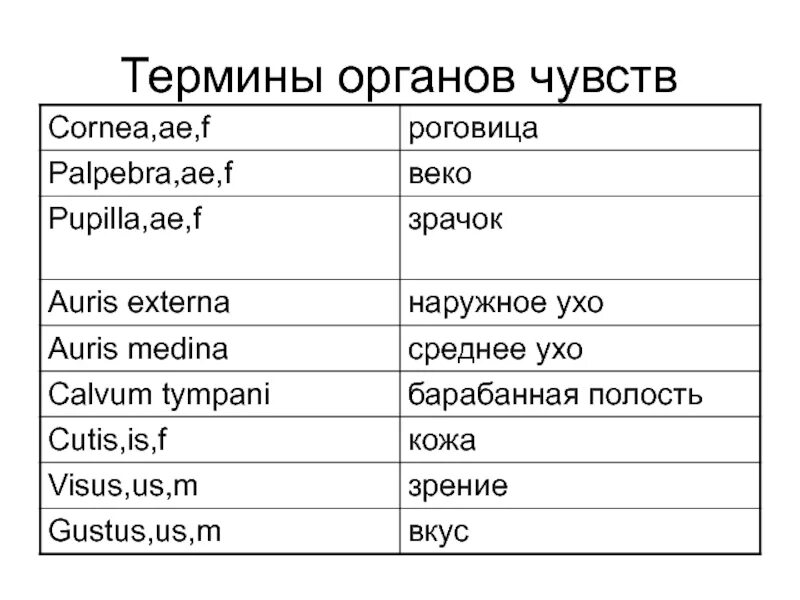 Ложное ощущение латынь