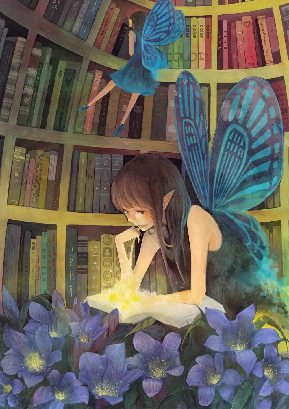 Fairy reader