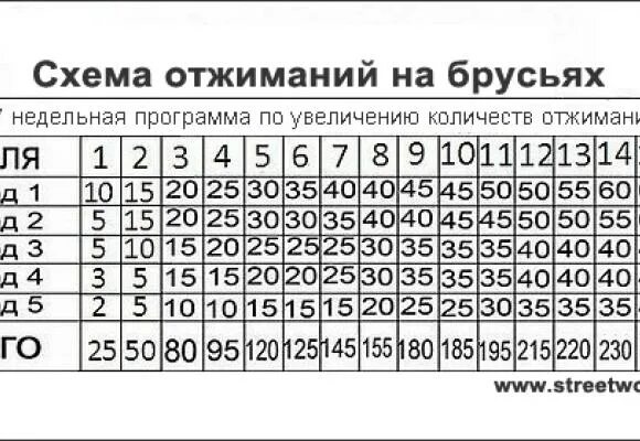 Подтягивания отжимания брусья. Отжимания на брусьях программа тренировок. Отжимания на брусьях схема тренировок. Программа тренировки отжиманий на брусьях 20 недель. Отжимания на брусьях программа 30 недель.