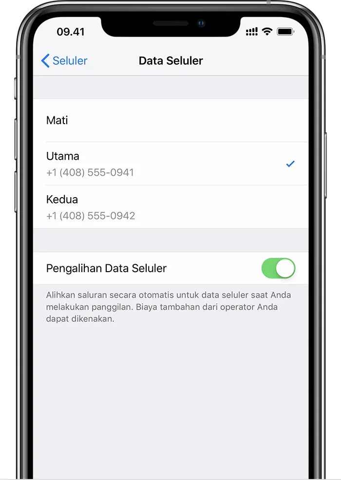 Как узнать поддерживает смартфон esim. Esim iphone. e sim в айфоне. айфоны поддерживающие esim. что такое esim на айфоне.