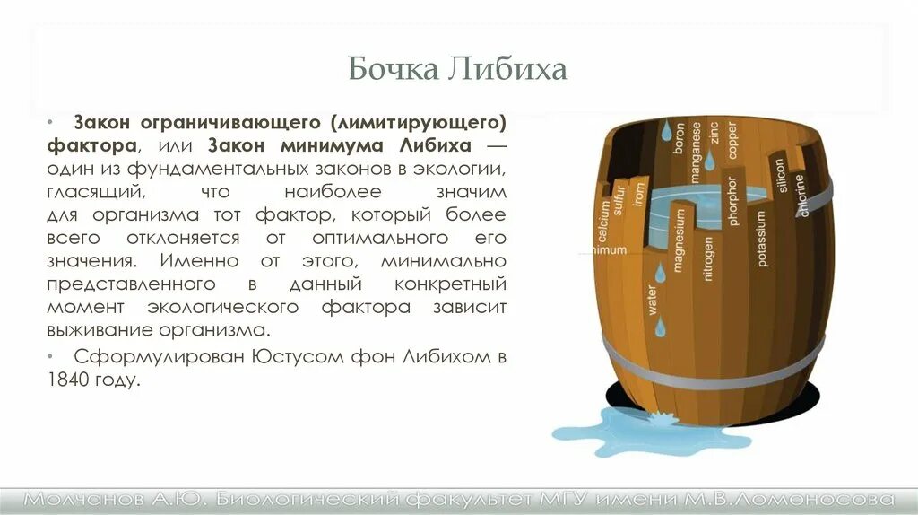 Закон минимума в экологии. Экология бочка Либиха. Биология бочка Либиха. Бочка Либиха закон. Правило минимума бочка Либиха.