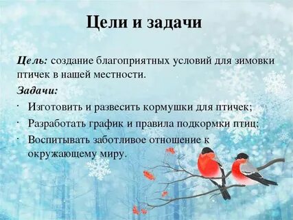 Зимние экологические проекты