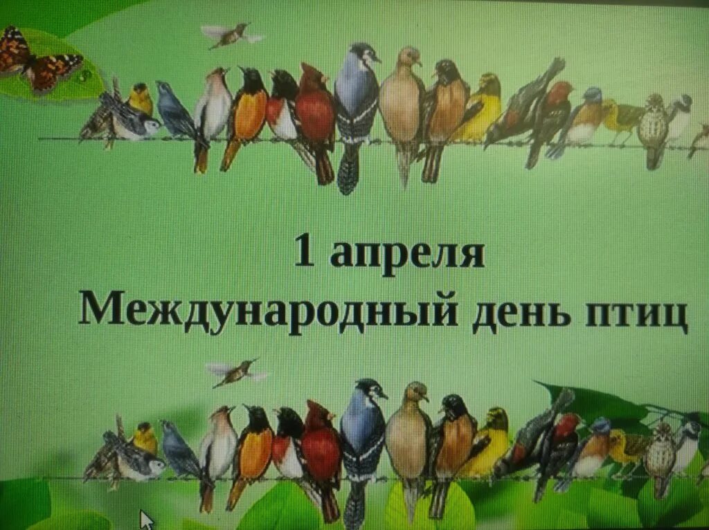 День птиц. Международный день птиц. 1 Апреля Международный день птиц. Всемирный день птиц для детей.