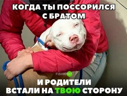 Прикол старший брат