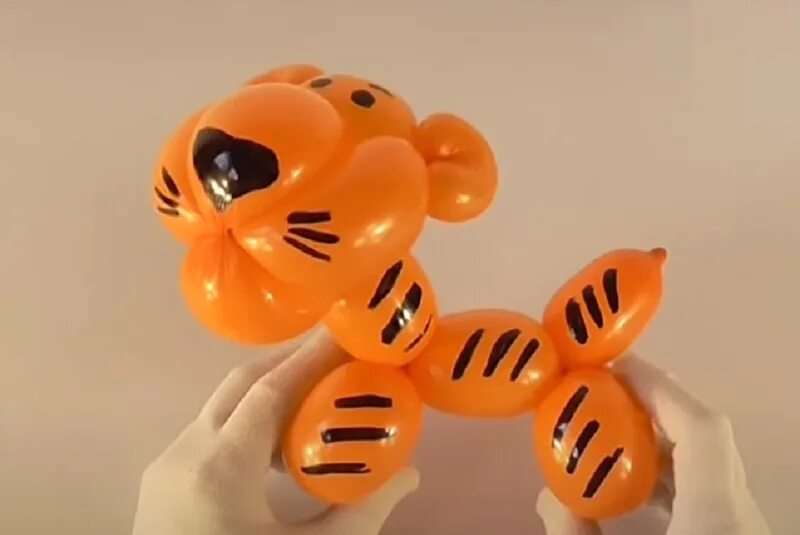Тигр шаров. Тигр из воздушных шаров. Тигренок из воздушных шаров. Тигр из ШДМ. Поделки тигр из шаров.