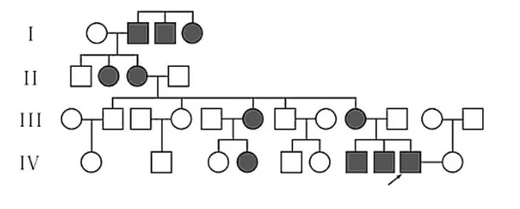 Пробанд страдает ночной слепотой его два. Пробанд страдает. Пробанд мужчина.