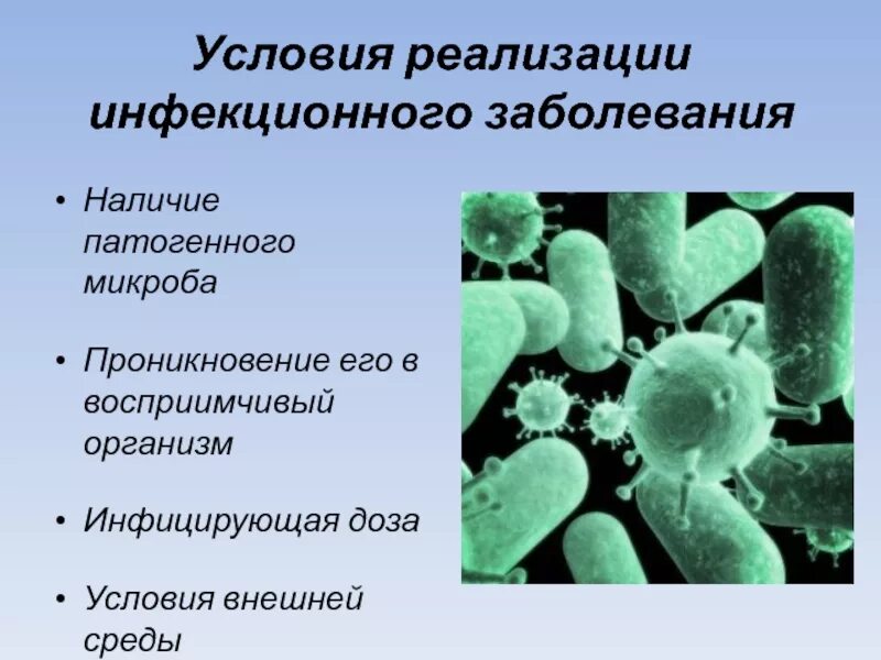 Болезнетворные бактерии болезни. Условия для реализации инфекционного заболевания. Факторы пенетрации микроорганизмов. Инфекционные организмы и патогенные микроорганизмы. Какие условия способствуют распространению болезнетворных бактерий.