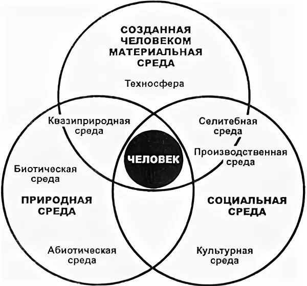 Техносфера – природная среда. Схема человек окружающая среда. Окружение человека схема. Компоненты среды человека.