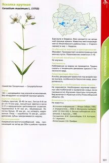 Растения из красной книги новосибирской