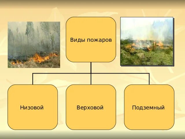 Верховые низовые подземные пожары. Вид пожара низовой пожар верховой пожар подземный. Виды пожаров низовой верховой подземный. Низовые и верховые пожары. Виды пожаров низовые верховые подземные.