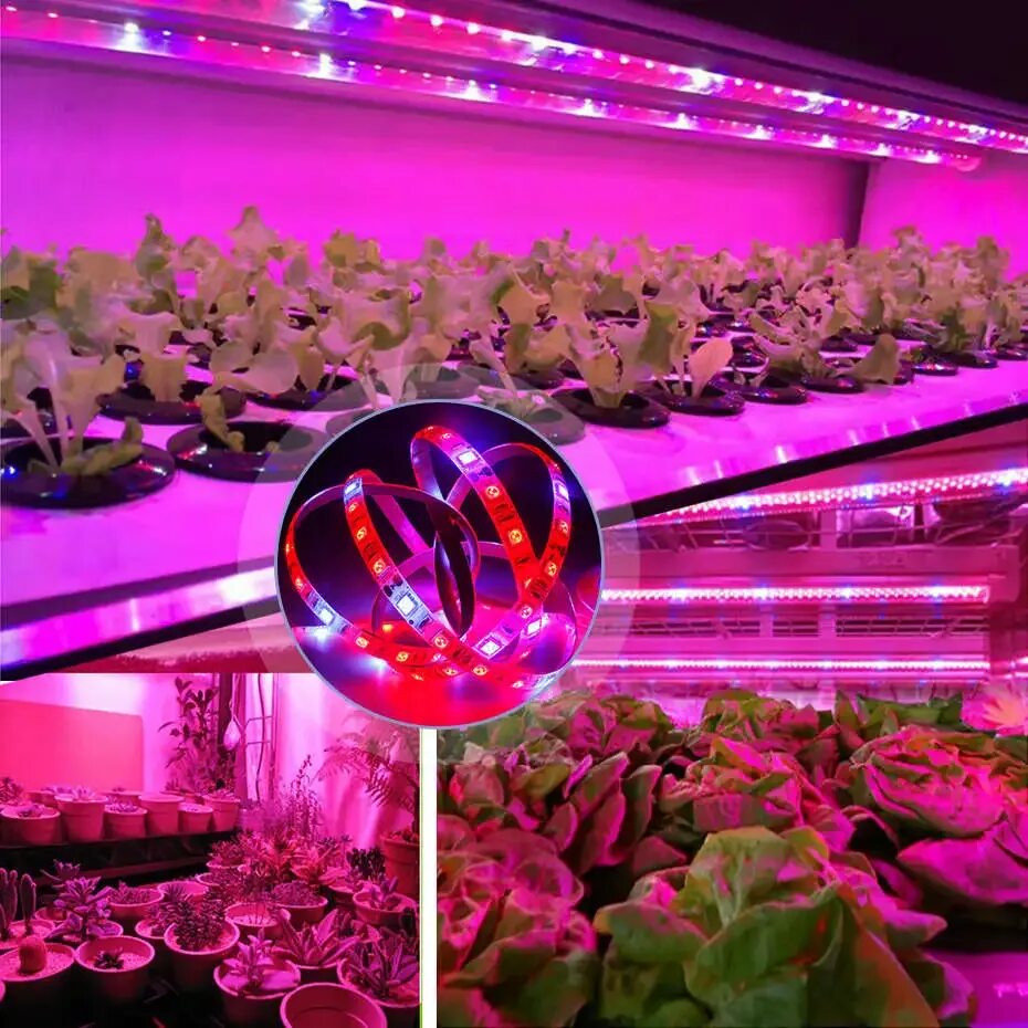 Фито светодиодные лампы. Фитолампа 300 led полный спектр led. Фитолампа led grow Light. Фитолампа для растений АЛИЭКСПРЕСС. Фитолампа полный спектр для растений.