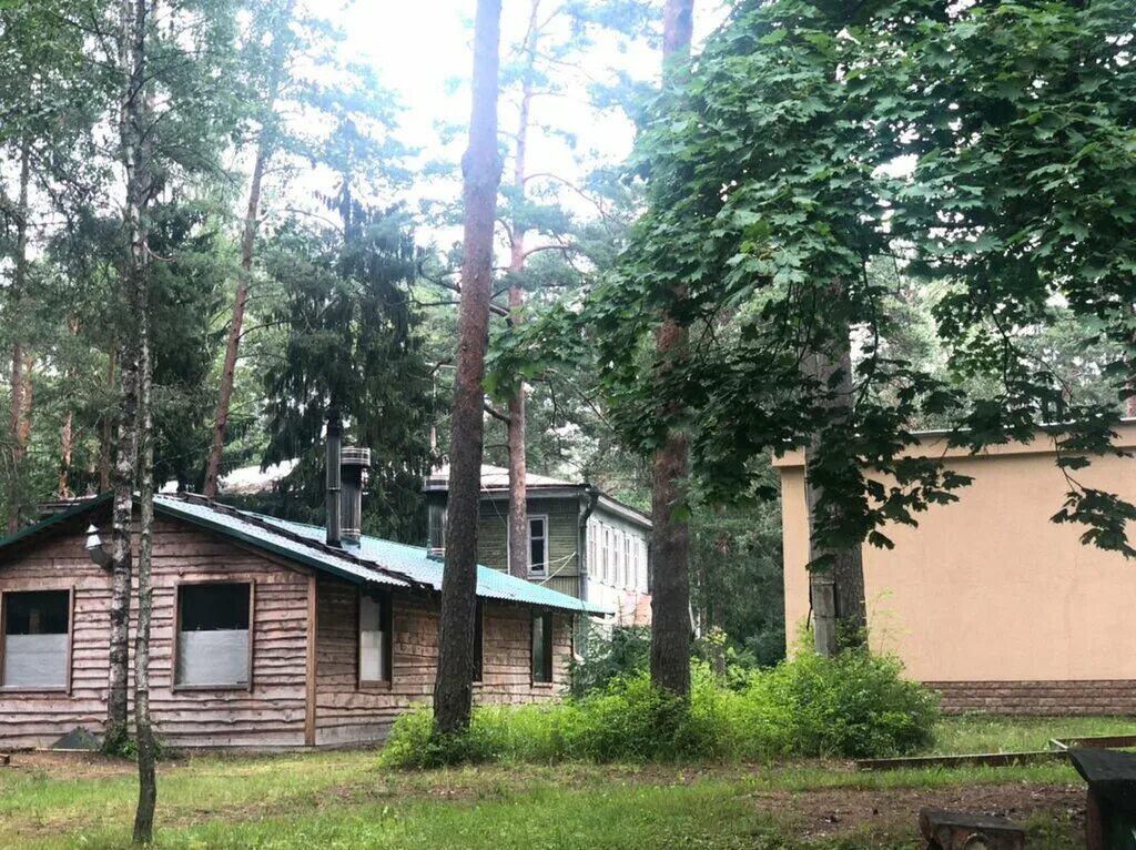 улица лейтенантов 31 комарово. пансионат в комарово. комарово пансионат стд. дом отдыха комарово санкт-петербург. комарово ул.