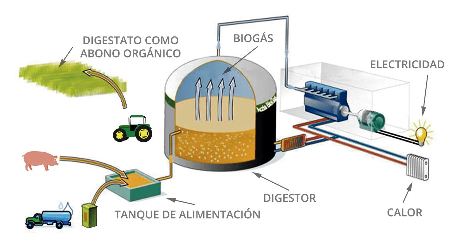 Биогаз установка. Биогазовая установка схема. Альтернативные источники энергии биогаз схема. Схема производства биотоплива.