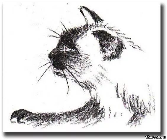 Рисунки графикой для начинающих Perspective for The Absolute Beginner Perspective Drawing Drawing for Beginners