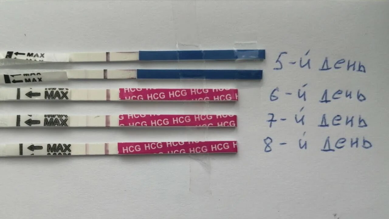 8 день после переноса тесты. Тесты после эко. Тесты после переноса. Тесты после подсадки эмбрионов. Тесты после эко по дням.