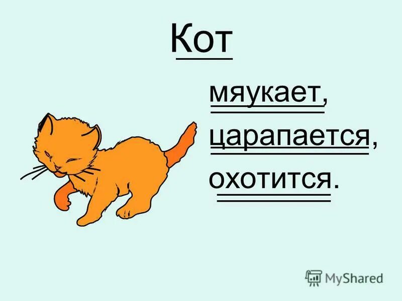 Радостный кот. Котенок рычит. Язык кошек мяуканье. Кошка улыбается. Мяу.