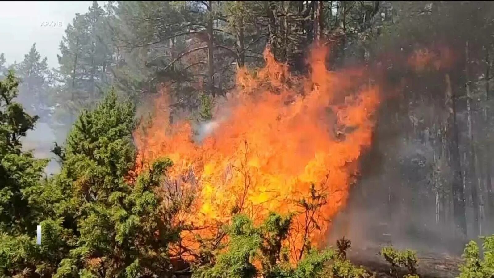 Сильный верховой пожар