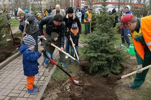 Посадки спб