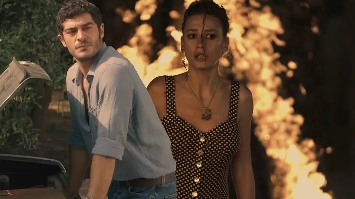 Бурак дениз шахмаран. Jennedim. Серенай сарыкая шахмаран. Sahmaran full izle. Драмы 2023.